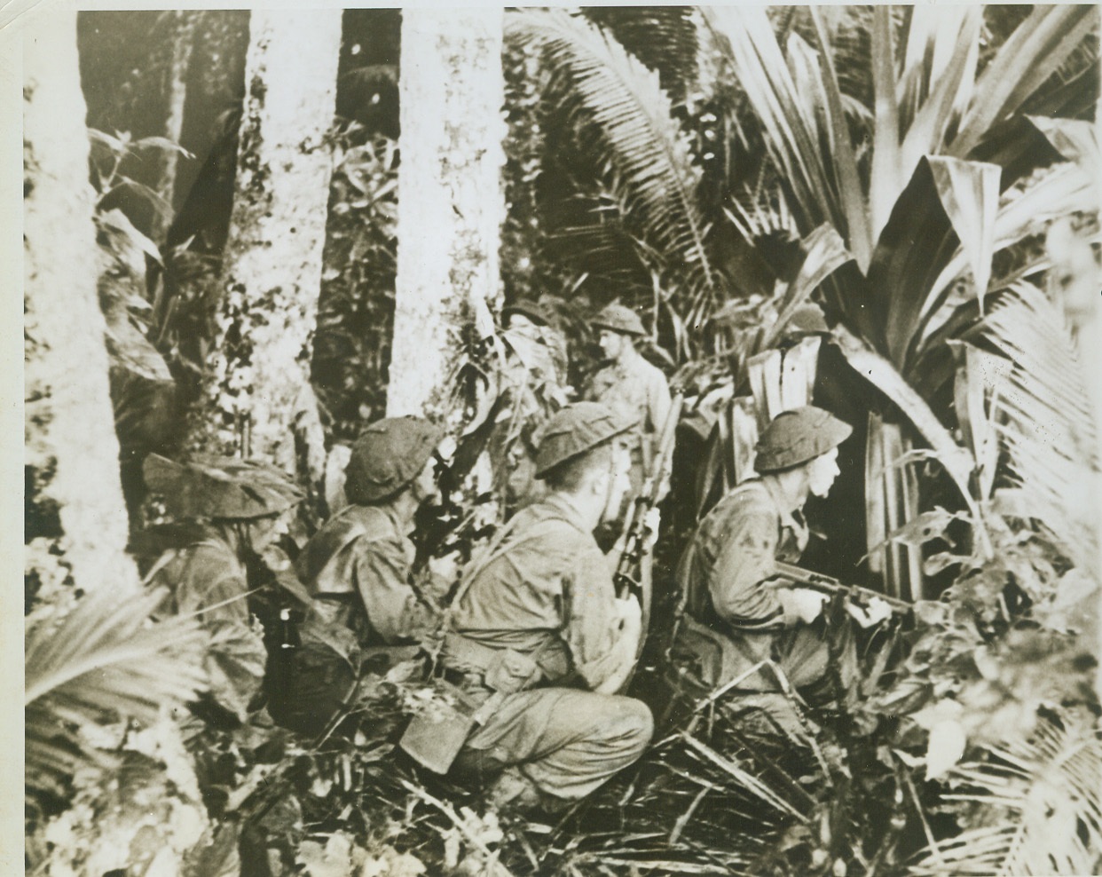 Now You Know Why Jungle Fighting is Tough, 11/10/1943. TREASURY ISLAND - It's difficult to distinguish these New Zealand soldiers in this jungle foliage so you can imagine how tough it is to see the enemy, too. These troops are deployed in the jungle after their recent invasion of Jap-help Treasury Island. Credit:--WP--(ACME);