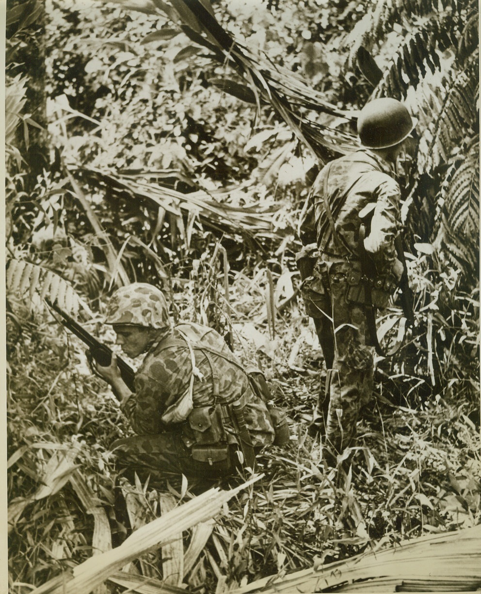 Part of the Jungle, 11/22/1943. SOUTH PACIFIC -- A pair of Marines fervently hope that they are indistinguishable from jungle foliage as one looks one way, and the other searches in the opposite direction, for a Jap sniper on Bougainville who apparently is a well-hidden as they are. With rifles "on the ready", they crouch at the side of a jungle trail.  Credit: (ACME);