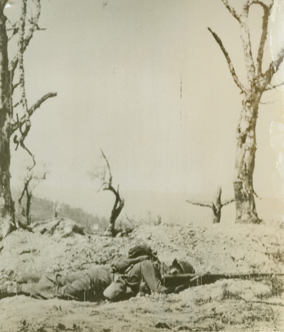 For Freedom’s Sake, 5/18/1944. ITALY – With his rifle still clenched in lifeless hands, an unnamed Allied infantrymen lies as he died in a position of combat – fighting for the liberation of mankind from the forces of Fascism. He was killed by enemy mortar fire in the assault on Santa Maria, Italy. In the background a shell- scarred tree forms a crude cross lending a reverent touch to the desolate scene.Credit: (US Army Radiotelephoto from ACME);