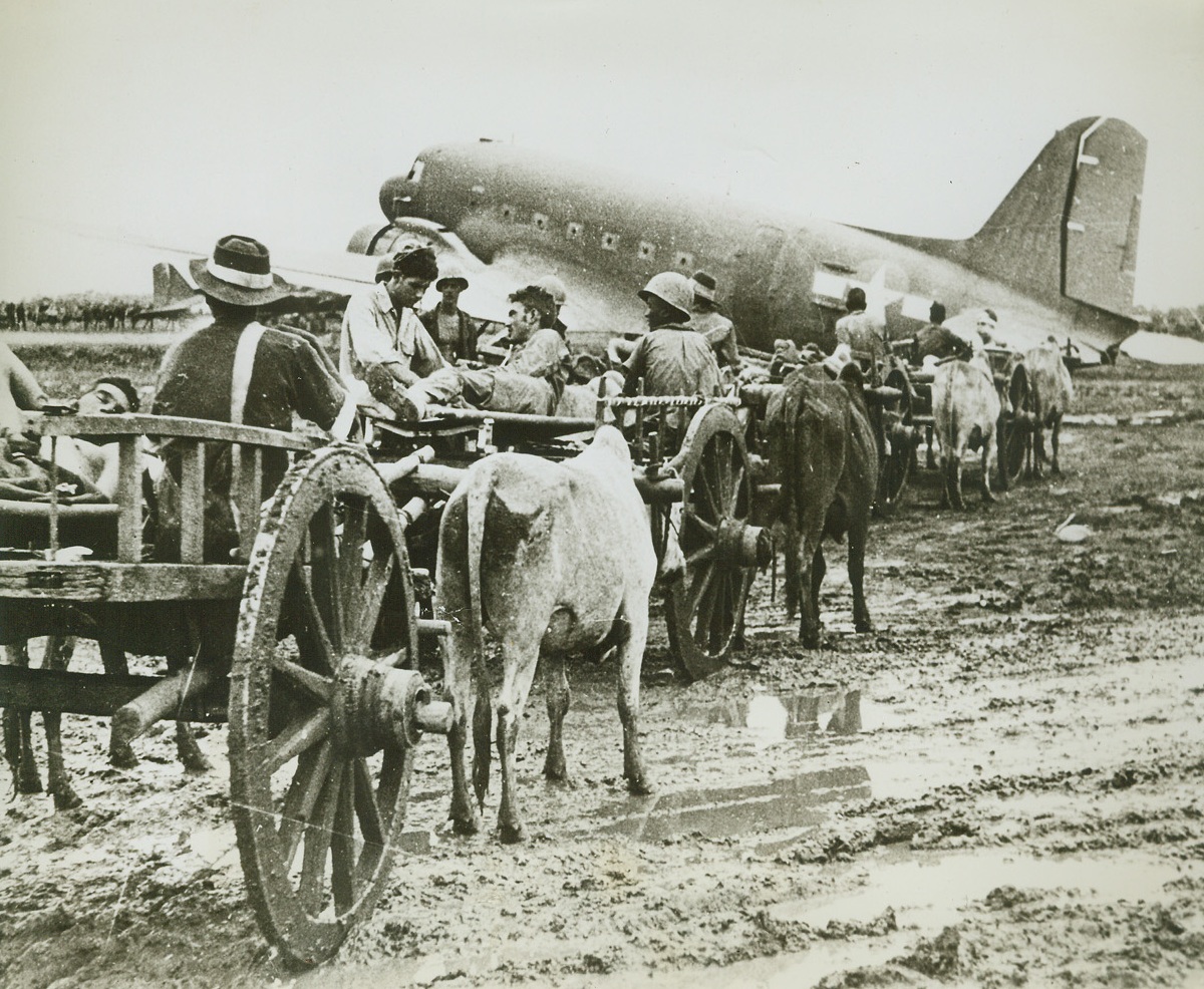 Cart Wounded from Burma Front, 8/19/1944. BURMA – On ox-drawn carts, wounded men arrive at the airport at Myitkyina, Burma, where they await transportation by hospital plane. Men were brought from the front five and one-half miles away over terrain as sodden as this air strip. Credit: U.S. Army photo from ACME;