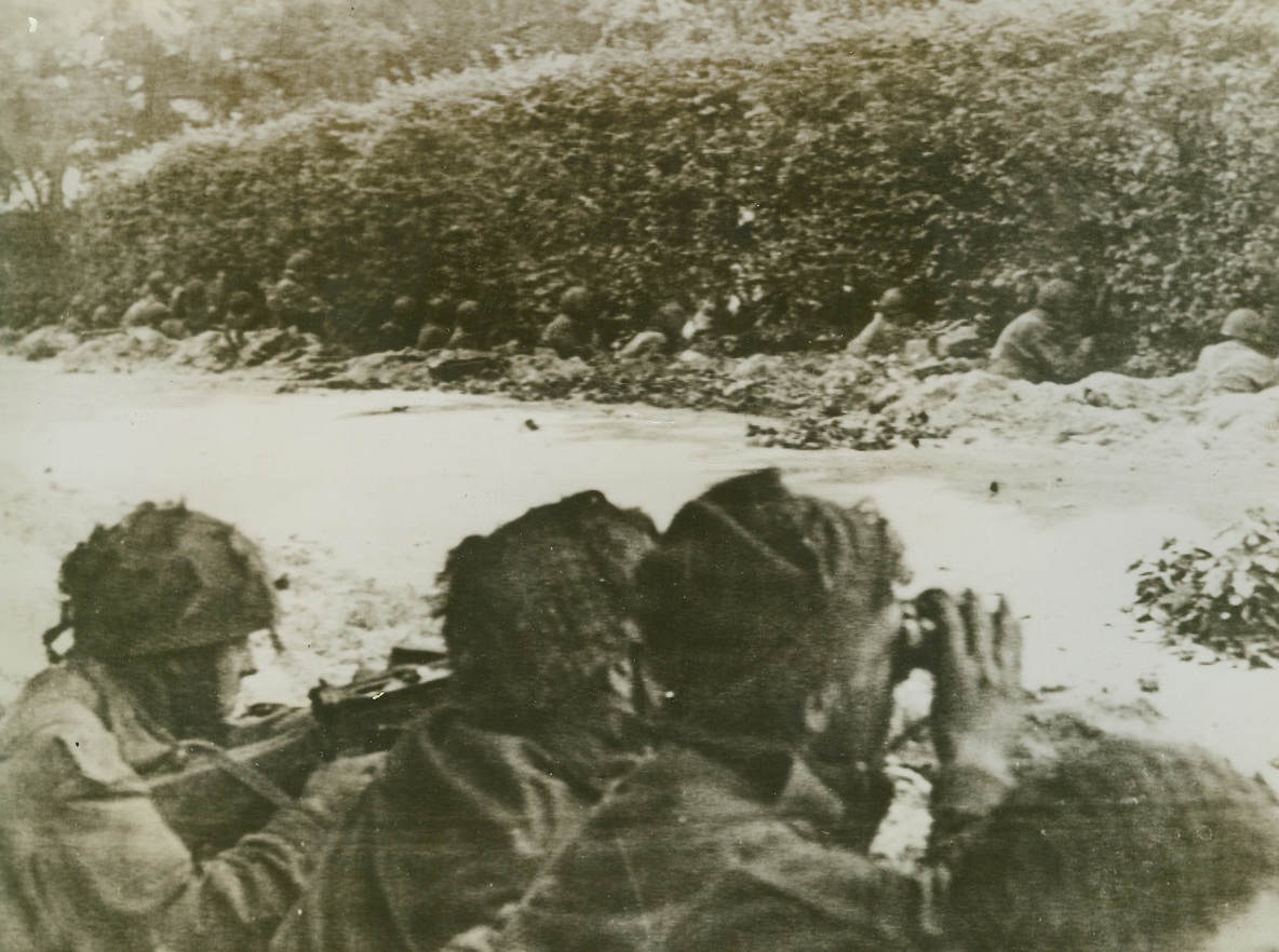 AWAITING NAZI ATTACK, 9/28/1944. British paratroopers of a border regiment wait under the cover of a hedge in Holland to repulse German forces attacking only 100 yards away. Credit: British War Office photo from Acme;