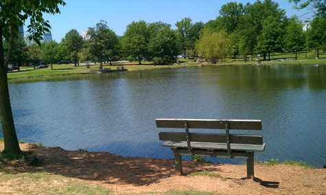 Overlooking the lake at MacAthur Park.