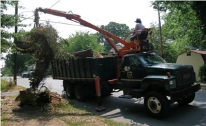 Yard Waste Collection