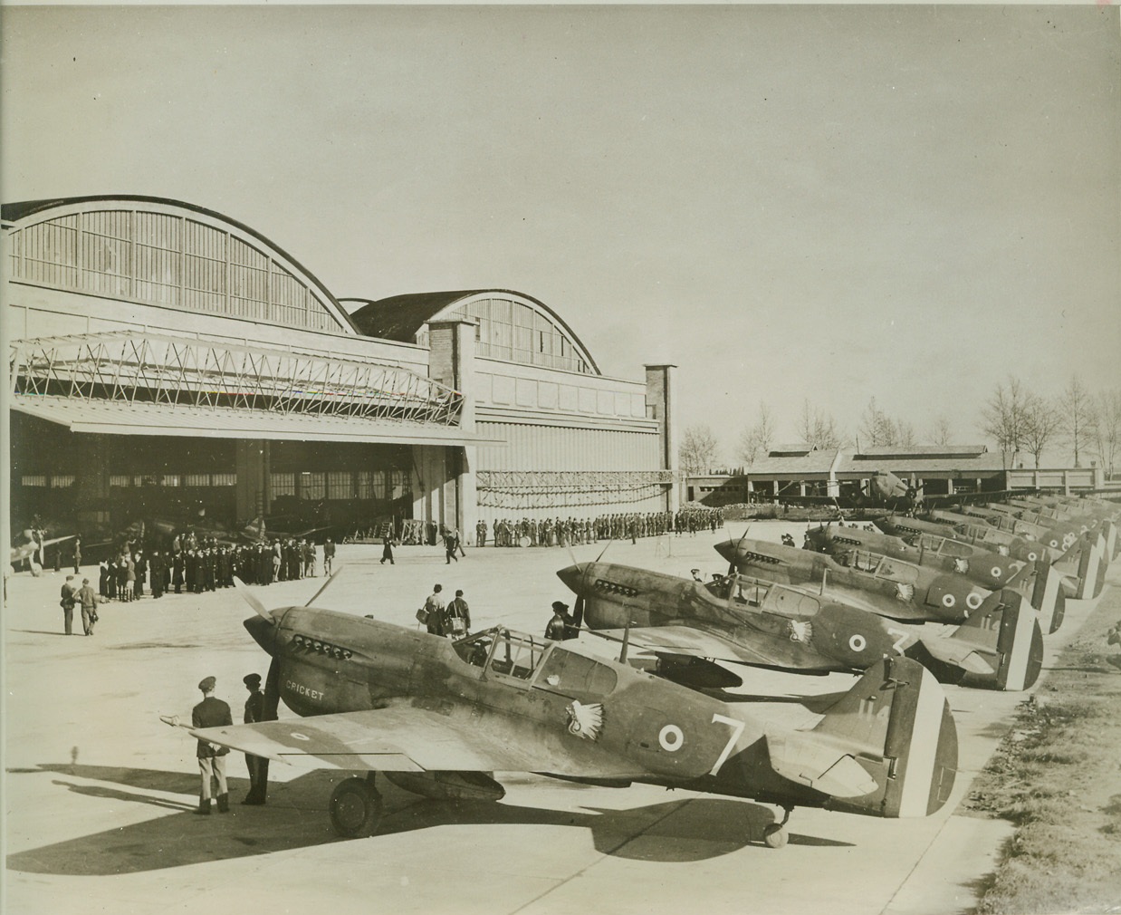 American Donate Planes to Free French, 2/4/1943. Somewhere in North Africa – Thirteen P-40’s stand ready to be flown by Free French pilots, at an airport “somewhere in North Africa.” The speedy Warhawks were presented to the Free French Air Force on behalf of the people of the United States. Credit (U.S. Army Official Photo – ACME);