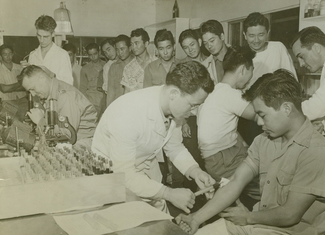 JAP MEMBERS OF NEW HAWAIIAN REGIMENT, 3/20/1943. LIHUE, KAUAI, HAWAII—these Japanese youths are shown taking their physical examinations prior to their induction into a U.S. Army combat regiment which is now being formed on the islands. While the others await their turns, this young man gets his blood test.Credit: US Army Signal Corps photo from Acme;