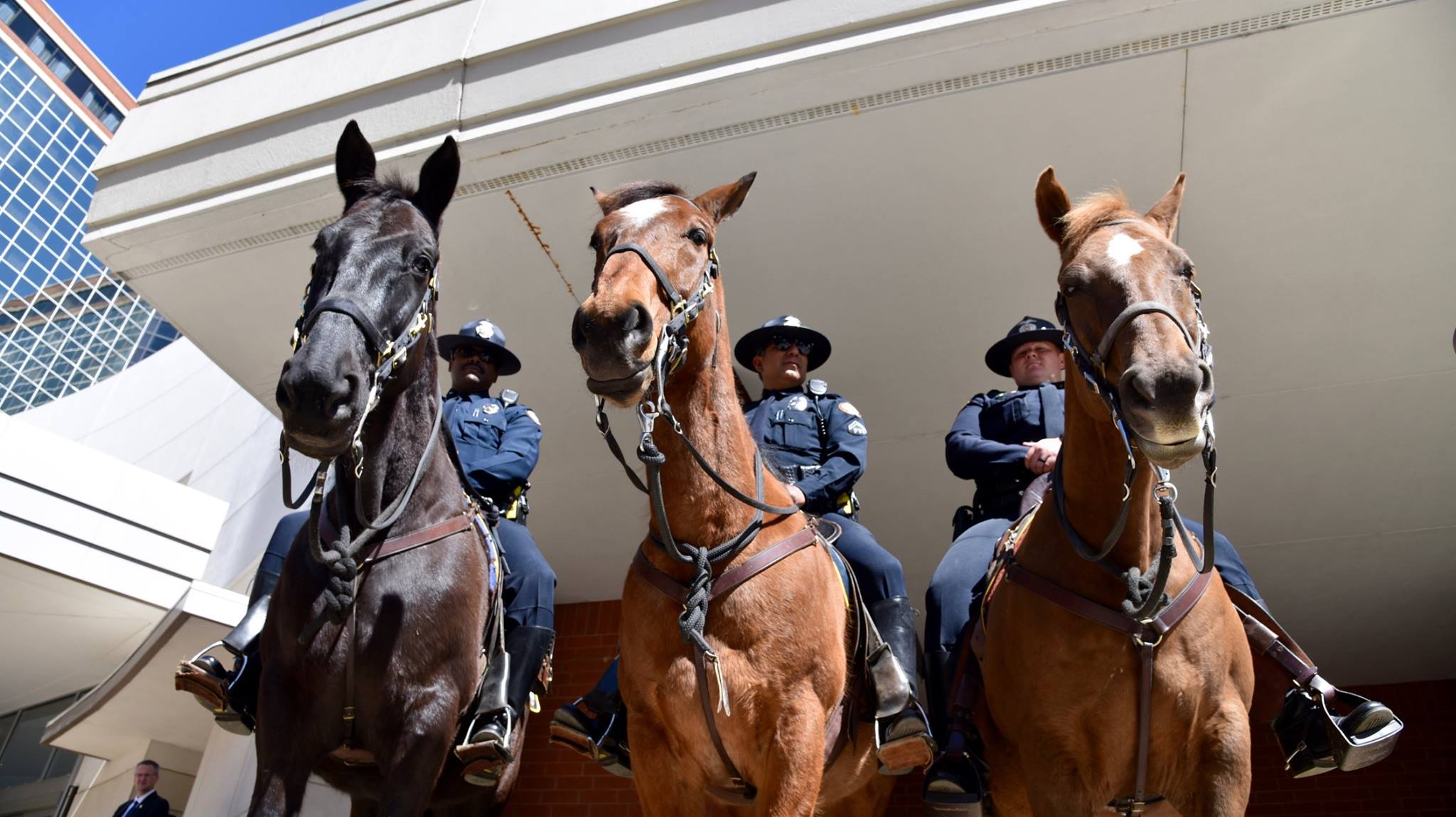 Police City of Little Rock
