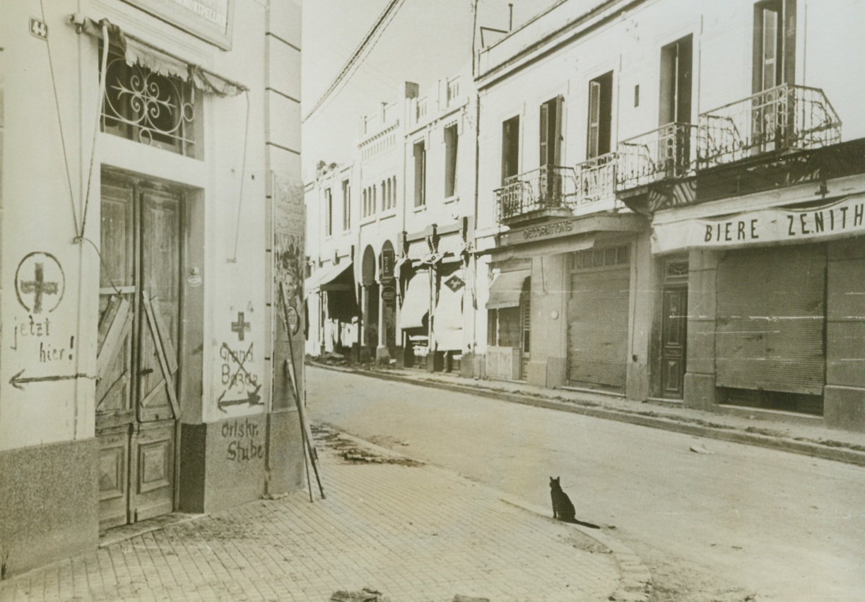 Only a Cat, 6/5/1943. BIZERTE – A lonely black cat surveys the deserted streets of Bizerte in a commercial part of the city. Note the lettering on the wall at left. The French title, “Grand Bazar,” had been given a German name and the location of the establishment had been changed. Credit Line – WP – (Acme);