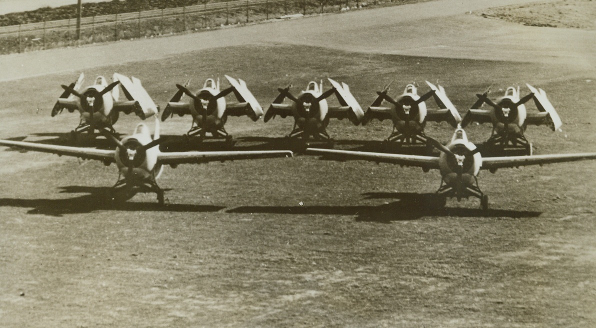 More Parking Space, 1/13/1943. New York—Seven Grumman “Wildcats” line up to give a graphic demonstration of the value of the plane’s famous folding wing. Photo shows how five planes with folded wings can be stored in the same space that two, with fixed wings, require. Adoption of the “Wildcats” for US Navy and Royal Navy Carriers has practically doubled the number of planes they can carry and has given both Navies a tremendous advantage over enemy carriers of comparable tonnage. Passed by censors.Credit: ACME.;