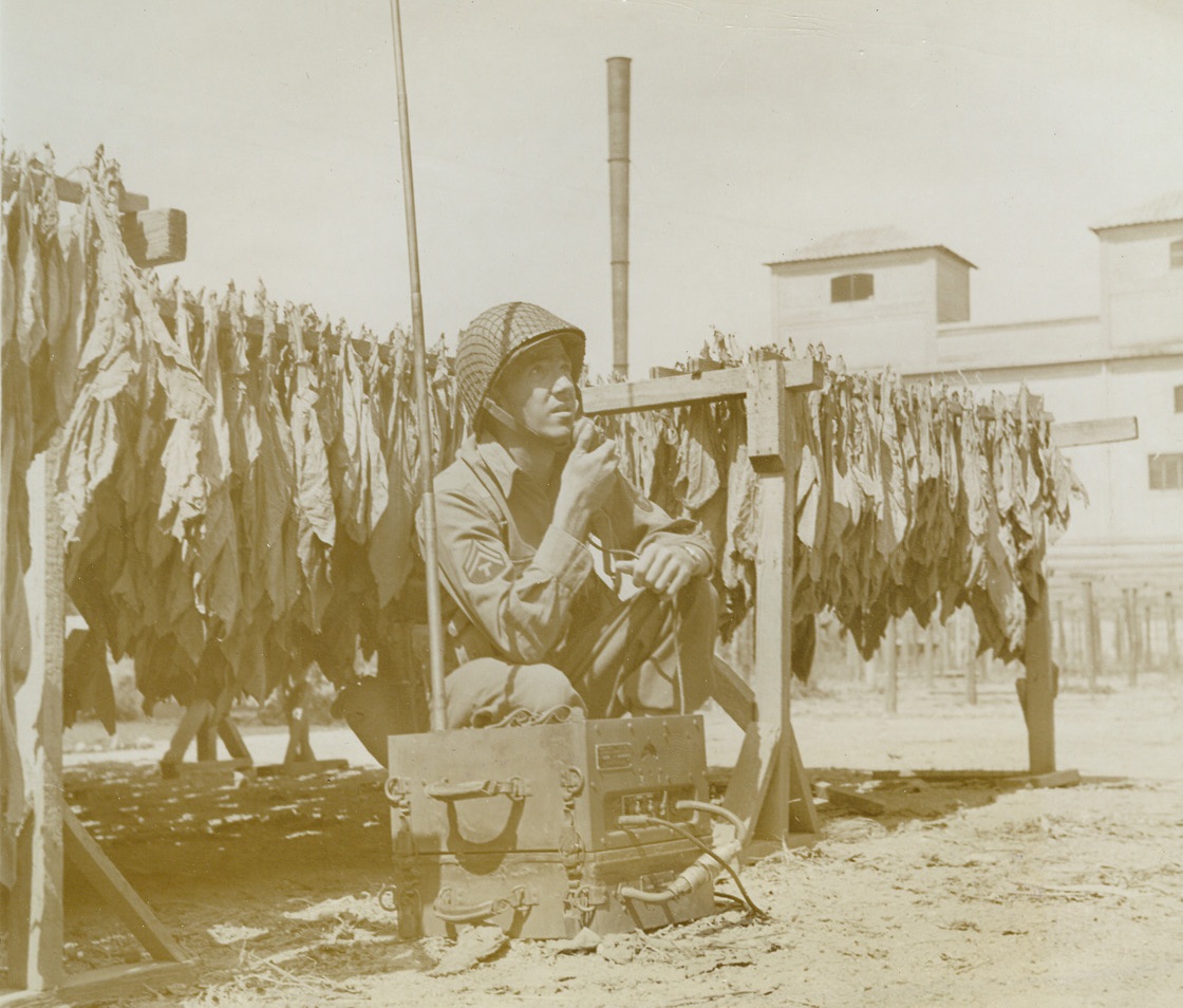 No Smoking, 9/28/1943. ITALY – Crouched beneath his excellent camouflage screen of real tobacco, Cpl. C.L. Ball, of Dallas, Texas, spots enemy aircraft. He is a radio transmitter and receiver on the Italian front. Credit Line (ACME); v