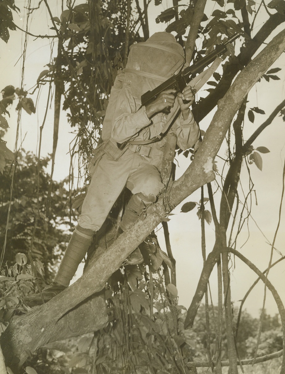 On Lookout For Japs in CBI, 10/14/1943. CBI Theater – His head guarded by mosquito netting, an American-trained Chinese soldier takes up his Sniper’s post in the thick of a jungle somewhere in the China, Burma, India war theater.  Thousands of Chinese troops have been trained and equipped at Lt. Gen. Joseph Stilwell’s Chinese U.S. training center in India, and are now ready to do battle with the most modern U.S. war weapons.Credit (ACME photo by Frank Cancellare, War Pool Photographer);