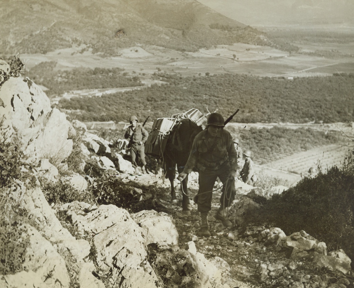 Ration Train, 11/28/1943. SOMEWHERE IN ITALY -- Carrying rations for our fighting men, a mule pack trail picks its way across the rocky slopes of Italy. Supplies and ammunition must be hauled over this rugged, mountainous terrain before they can reach our Fifth Army men as the front. Credit Line - WP-(Photo by Bert Brandt, ACME Correspondent for War Picture Pool);