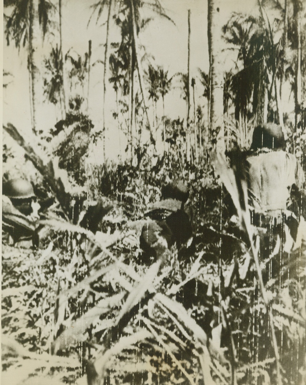 JUNGLE ADVANCE, 12/18/1943. NEW BRITAIN ISLAND—Their eyes glued to their sun sights, trigger fingers ready to go into action at a moment’s notice, these Yanks move stealthily through the thick foliage that covers New Britain Island. Taking all precautions to protect themselves as well as other troops, the American boys advance soon after their landing at Arawe. Credit: U.S. Signal Corps radiotelephoto from Acme;