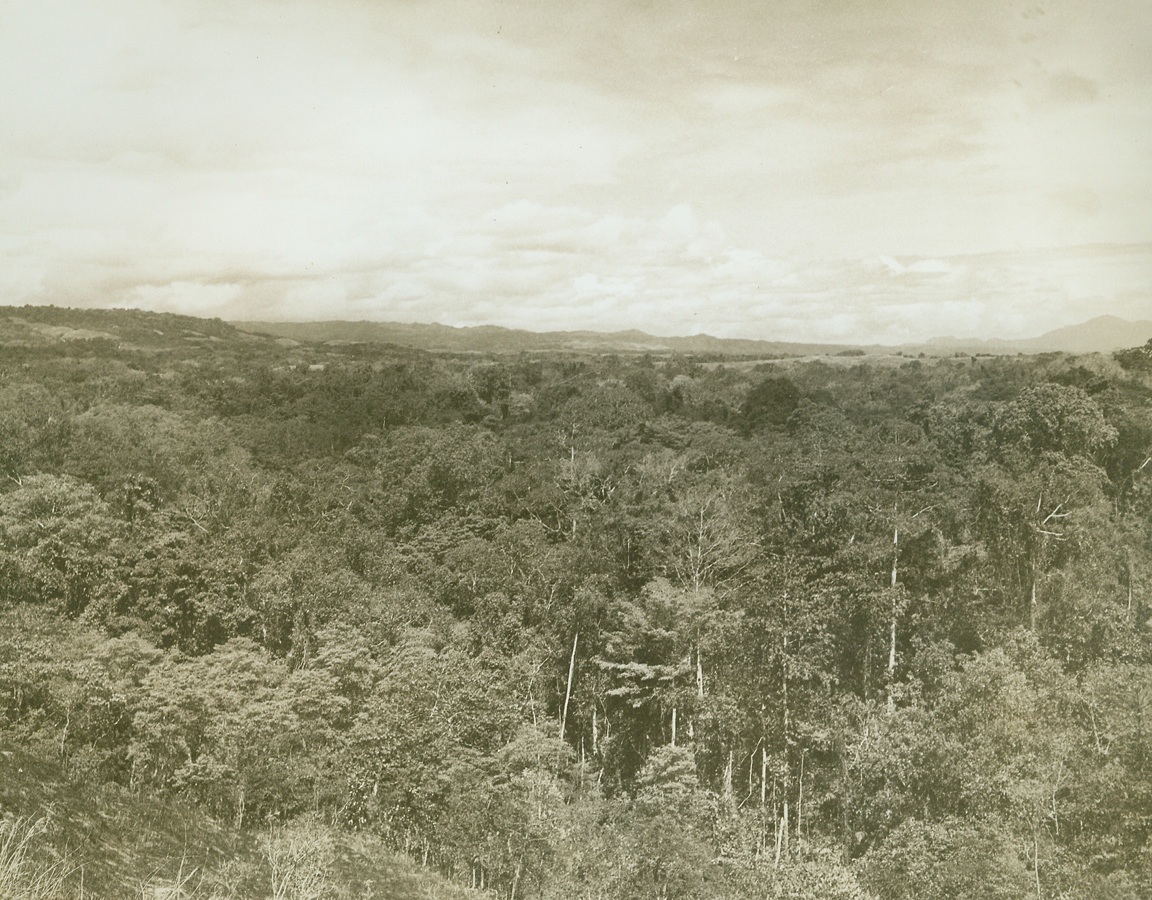 No Title. 10/17/1942. SOLOMON ISLANDS - These dense jungles are what U.S. forces are fighting for, in, around, and over on the island of Guadalcanal. This is a view of part of the territory for which U.S. and Jap forces are clashing desperately, as seen from one U.S. Marine outpost.;