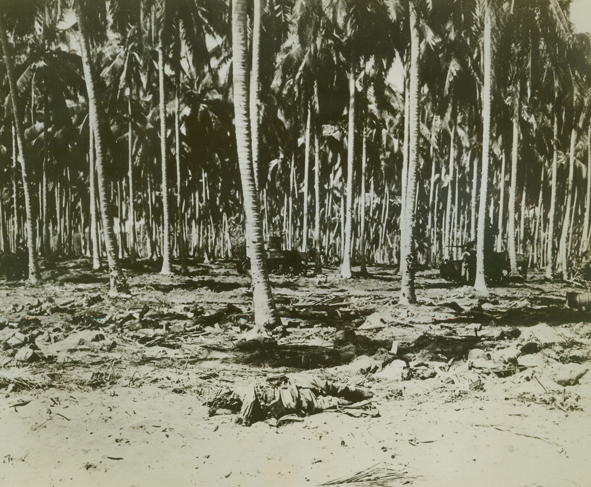 Where U.S. Marines Caught Japs, 10/20/1942. The bodies of Japanese can be seen sprawled on the ground under palm trees, in this photo which was taken just after the battle of Tenaru River, on the key Solomon island of Guadalcanal.  In background, U.S. Marines with tanks mop up the battlefield.  Credit Line (U.S. Marine Corps photo from ACME);