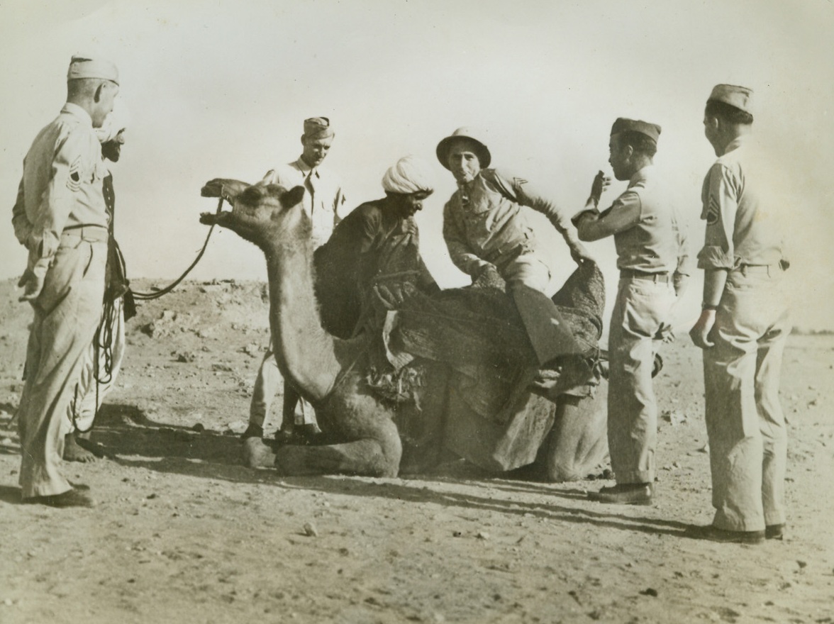 “Ride ‘Em Cowboy!”, 10/21/1942. This photo just released by the War Department in Washington, shows U.S. soldiers stationed in India as they try out a novel form of transportation. From the expression on the camel’s face, the ride is going to be a tough one!Credit: U.S. Army photo from ACME.;