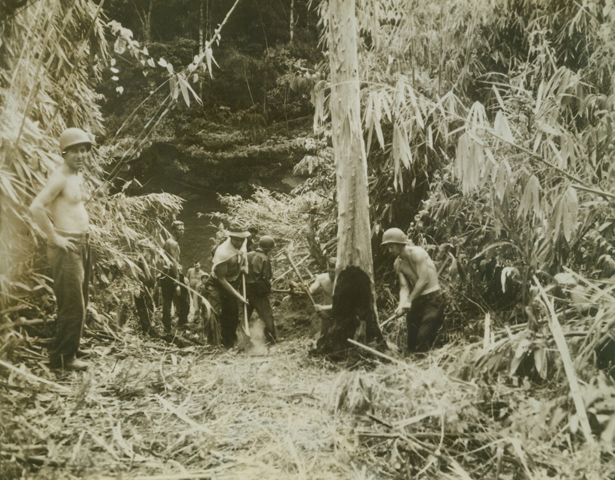 Cutting a Jeep Road, 11/12/1942. New Guinea – Getting supplies to troops in the Owen Stanley mountain range in New Guinea is one of the major problems of U.S. Troops in that area.  Long before the arrival of Army engineers, regular infantry troops built their own roads with ax and shovel.  Here a troop cuts a jeep road through the jungle. Credit line (ACME);