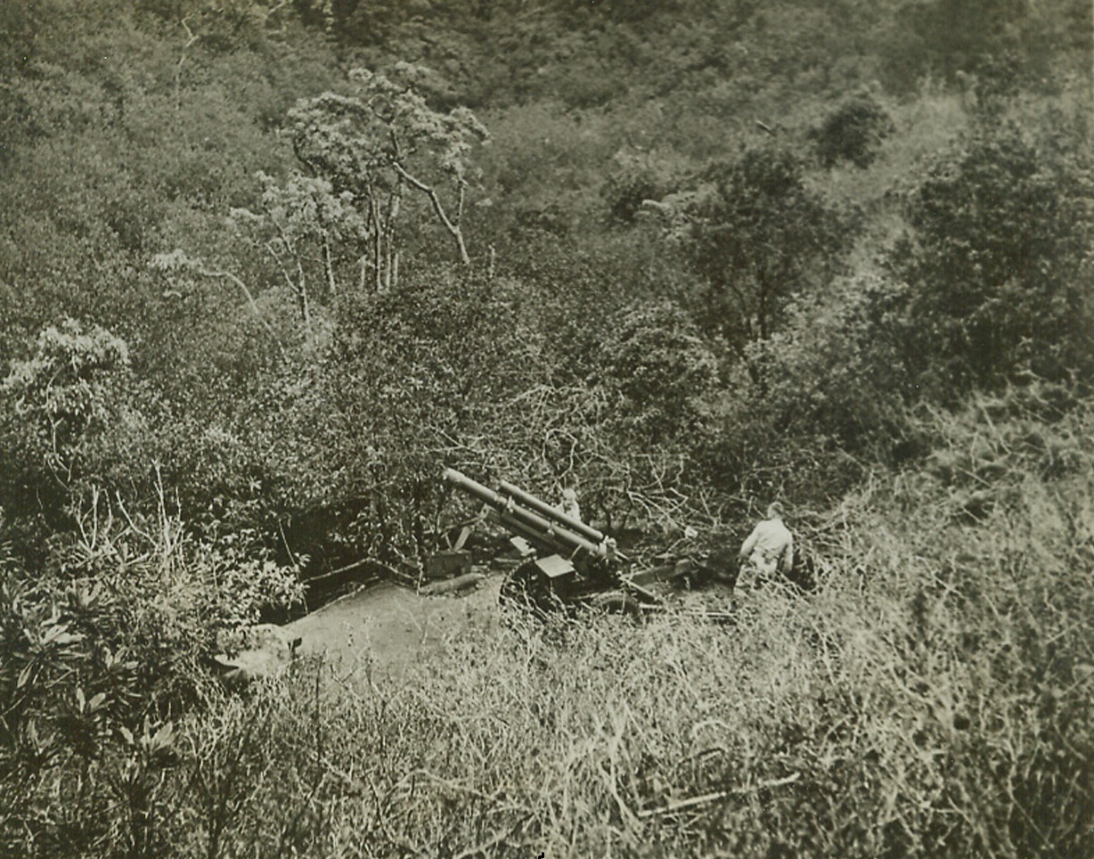 Nature’s Camouflage, 5/6/1942. Hawaii—This field gun ‘somewhere in Hawaii’ hidden by thick trees from the air, is ready to hurl projectiles on any invading force. Hawaii received its lesson on Dec. 7.Credit: ACME.;
