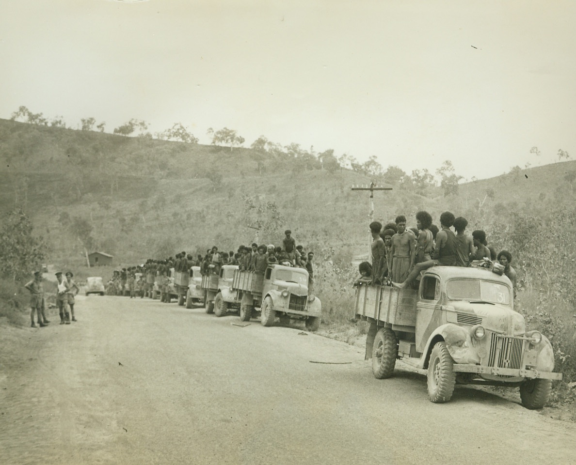 Caravan of Supplies to U.S. Troops in New Guinea, 9/17/1942. New Guinea – New Guinea natives ride on trucks to the starting point of foot trails over which they carry supplies to troops battling in back country.  Each native can carry about 40 pounds of the necessary food and equipment.Credit Line (ACME);