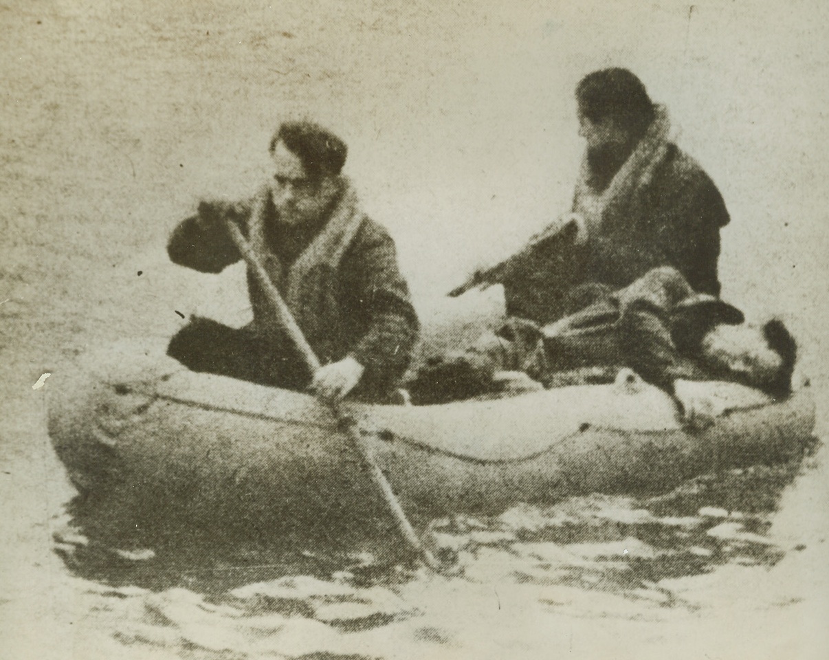 Channel Victims Claimed by Nazis, 1/27/1944. Two American fliers man their rubber raft in which a fellow crewman lies wounded, according to the German caption on this photo received through a neutral source. The Nazis say the U.S. plane was shot down in the English channel and these men were taken prisoner. Credit: ACME.;