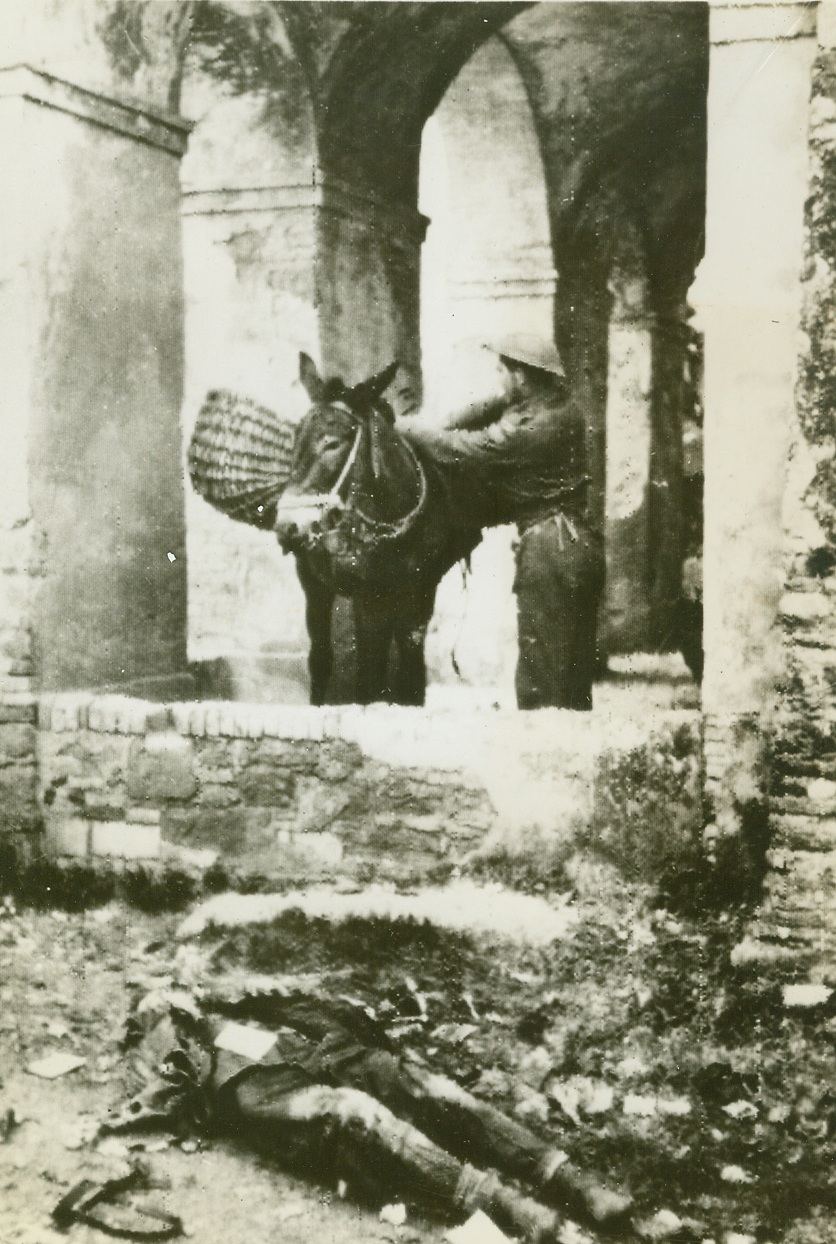 What’s Death to a Mule? 1/3/1944. Ortona, ITALY – With nonchalance only a mule can muster, this Italian beast of burden gazes at the body of a German corporal. Also indifferent to death is Pvt. G.M. Dodds., of Middleville, Ont., who harnesses the animal on the portico of a church in Ortona, Italy, the Adriatic coastal town wrested from the Germans after eight days of bitter house to house fighting.Credit (OWI Radiophoto from ACME);