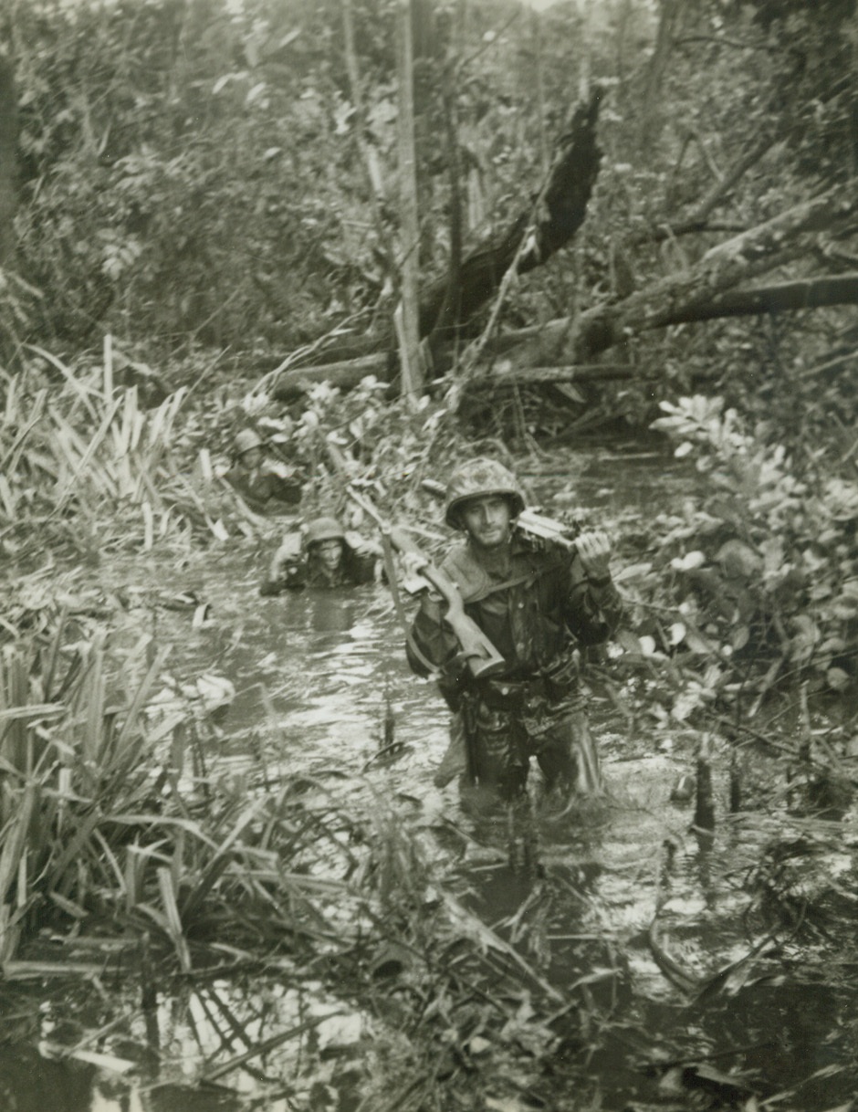 Sloppy Trip, 1/18/1944. Cape Gloucester, New Britain – Only their rifles and ammunition stay dry as these Marines push ahead through Cape Gloucester’s jungle swamps and streams.   Making their way to the front lines after landing at the Cape, the fighting Leathernecks had to take miles and miles of this sloppy terrain in their stride before their job was done. Credit line is not shown;