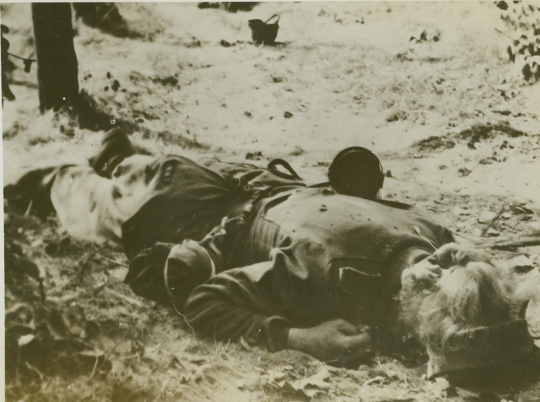 Woman Killed FIghting With Nazis In Holland, 10/6/1944. Holland – Attired in full German uniform, including gas mask container, this woman was killed fighting with the German ranks in Holland. As far as is known, this is the first authenticated case of a woman fighting with German forces. The picture was taken by an Army Airborne photographer who landed with the first forces in Holland. 10/6/44 Credit (British Official Photo From ACME);