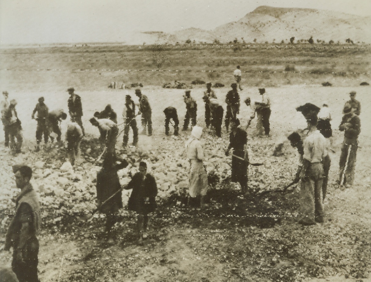 First Photo of Greek Invasion, 10/6/1944. GREECE – Men, women, and children of Greece lend willing and helpful hands at filling in the craters on an airfield in Greece after the arrival of RAF forces. Early today, swarms of Allied invasion forces were reported pouring into the country and threatening the German garrison at Athens. Credit (British Official Radiophoto via OWI from ACME);