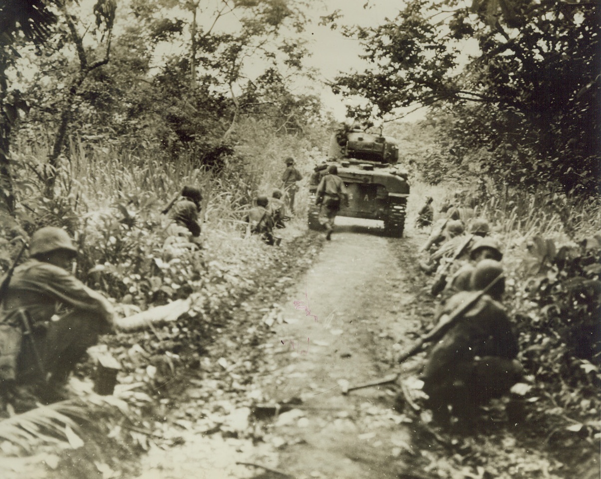 Marines Advance—With Caution, 2/2/1944. Cape Gloucester – Widely separated and hugging the slim cover of the jungle grass, these U.S. Marines advance behind a General Sherman tank near Cape Gloucester. Although the area had been heavily bombarded by American Naval units a short time before, the leathernecks are taking no chances with the treacherous Nips. Credit: U.S. Marine Corps photo from ACME;