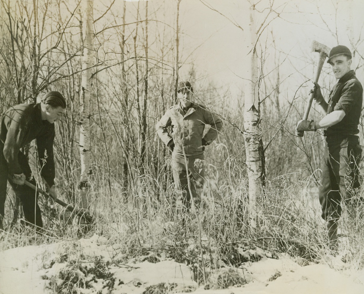 Enemy Aids in Woods, 2/6/1944. Remer, Minn. -- These two German war prisoners with their guard, rear, helping to alleviate the manpower shortage in the pulpwood industry, are the first of an estimated 1,000 to work in Minnesota’s forests. Other prisoner work camps are tentatively set for Duluth and International Falls, Minn. Credit: ACME;