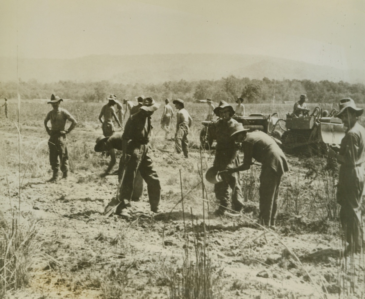 Air Commandos Outwit Japs, 4/20/1944. Burma—In a recent daring infiltration behind Jap lines in Burma, the 1st Air Commando Force, commanded by Col. Philip J. Cochran, USAAF, landed men in gliders to construct an airfield, then transferred the troops of Maj. Gen. Orde C. Wingate’s British Command to the field in transport planes. Gen. Wingate has since been killed in combat. Here, where they were landed behind Jap lines, and some 200 miles from Imphal, India, where the British and Japs are now locked in battle, some of the Commandos are hard at work on the airfield, called, “Broadway.” Note road building equipment (in right background), which was brought in by glider. Credit: USAAF photo from ACME;