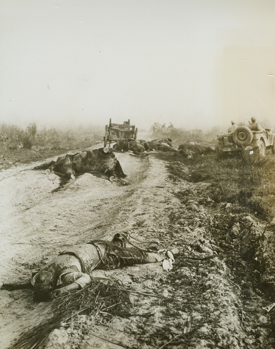 Blood to Their Ancestors, 4/1/1944. Maingkwan, Burma – The bodies of Jap warriors and their horses, blown into the world of their ancestors by men of Maingkwan-Walumbum, are strewn along a road about three-quarters of a mile out of Maingkwan. A retreating company of eighty men and six officers was blasted down to the scorched Earth by Chinese shell-fire and mortars.  Credit line-WP-(ACME);