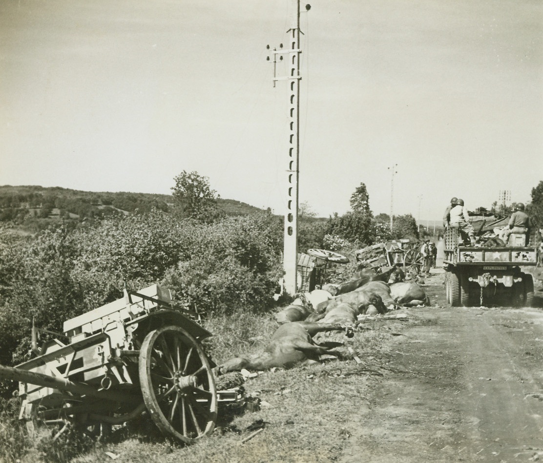 Where Artillery Caught German Column, 6/27/1944. Barneville, France – Dead horses and overturned wagons lie in the ditch of the road from Barneville to Bricquebec, where the retreating German column of which they had been a part, had been caught be American artillery fire and wiped out. An American bulldozer, clearing the road, pushed the wreckage into the ditch. At the right, a U.S. truck rolls down the road towards Cherbourg, now in Allied hands. Credit: ACME photo by Bert Brandt for War Picture Pool;