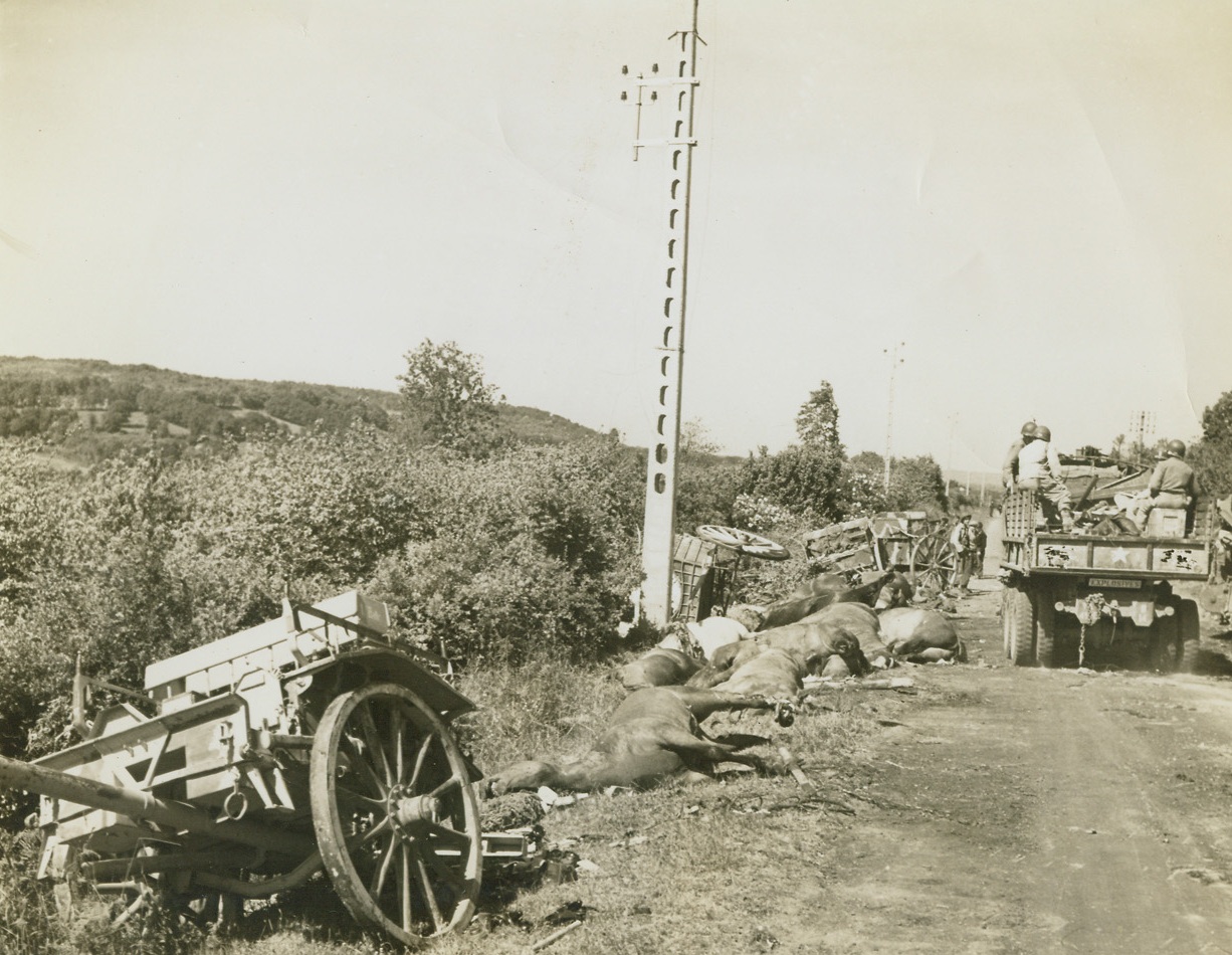 Horses, Too, Were Expendable, 6/27/1944. On the road to Barneville, Cherbourg Peninsula, wrecked German guns, dead horses and other equipment lie alongside the road after being pushed there by American bulldozers who cleared the road for the advance of the Allied troops that followed in the advance on Cherbourg. On the right, an American truck may be seen advancing down the road. Passed by censor. Credit: ACME photo by Bert Brandt for the War Picture Pool;