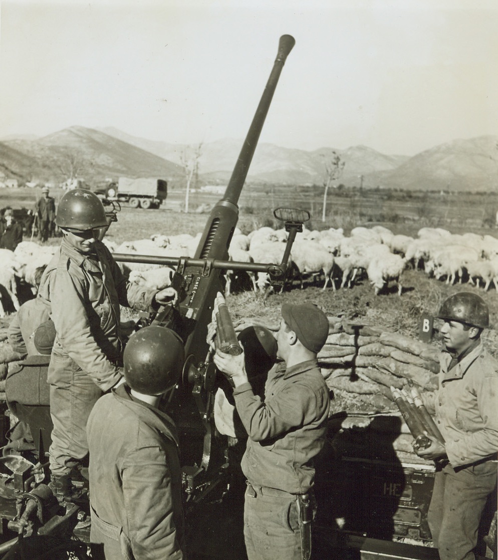 Good Hunting in Italy. ITALY—These Yanks in Italy are not pot-shotting at Mutton, as it would seem at first glance, but are keeping a close watch on the sky for Nazi planes. Sheep graze peacefully before the anti-aircraft battery as gunners stand ready to repel an air attack. Credit: ACME Photo by Bert Brandt, War Picture Pool Correspondent.;