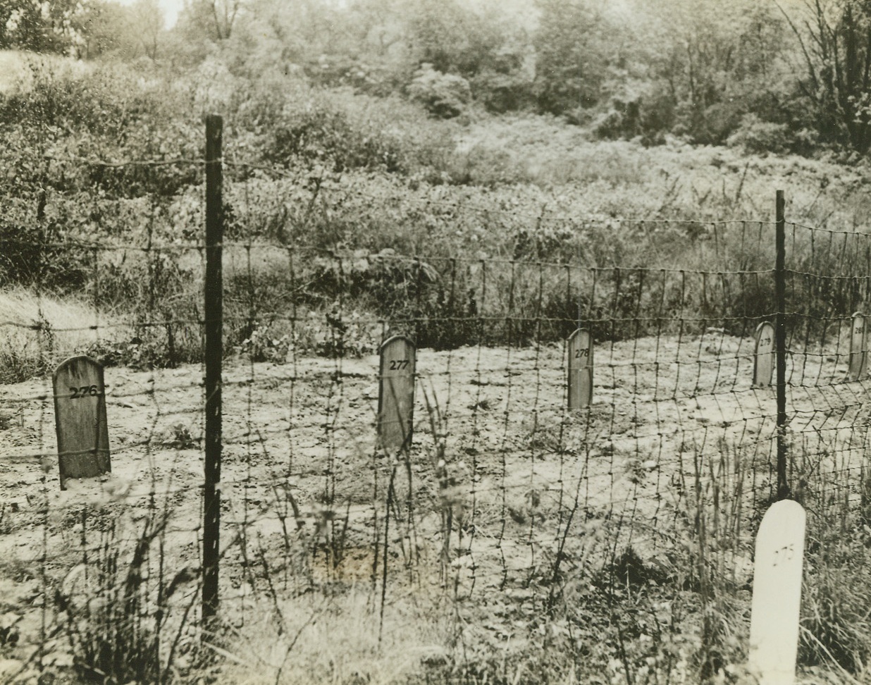 What Happened to Nazi Saboteurs. Washington, D.C.—Marked only by rude boards bearing numbers of identification, these graves on the District government reservation (the rest of the caption is illegible).Credit: ACME.;