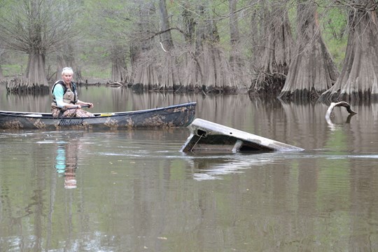 Fourche Creek Discovery Day is Saturday)