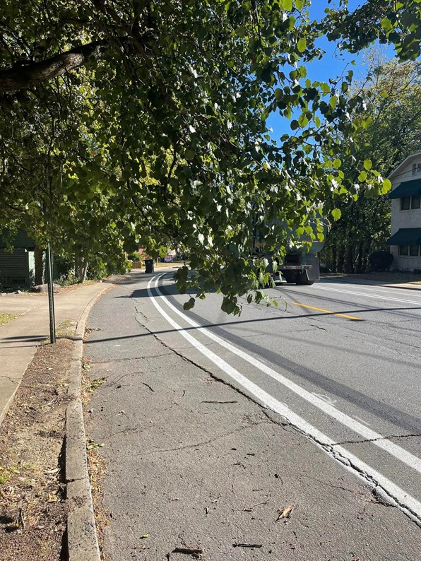 Trees would have to be trimmed in order to give cyclists safe clearance.