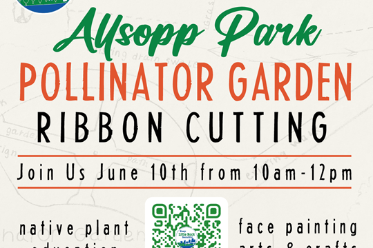 Ribbon Cutting at Allsopp Park Pollinator Garden)