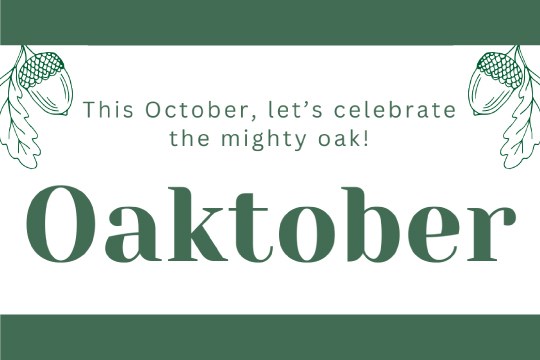 Oaktober 2024)