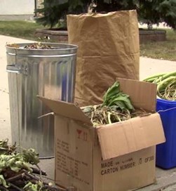 Yard Waste Pickup