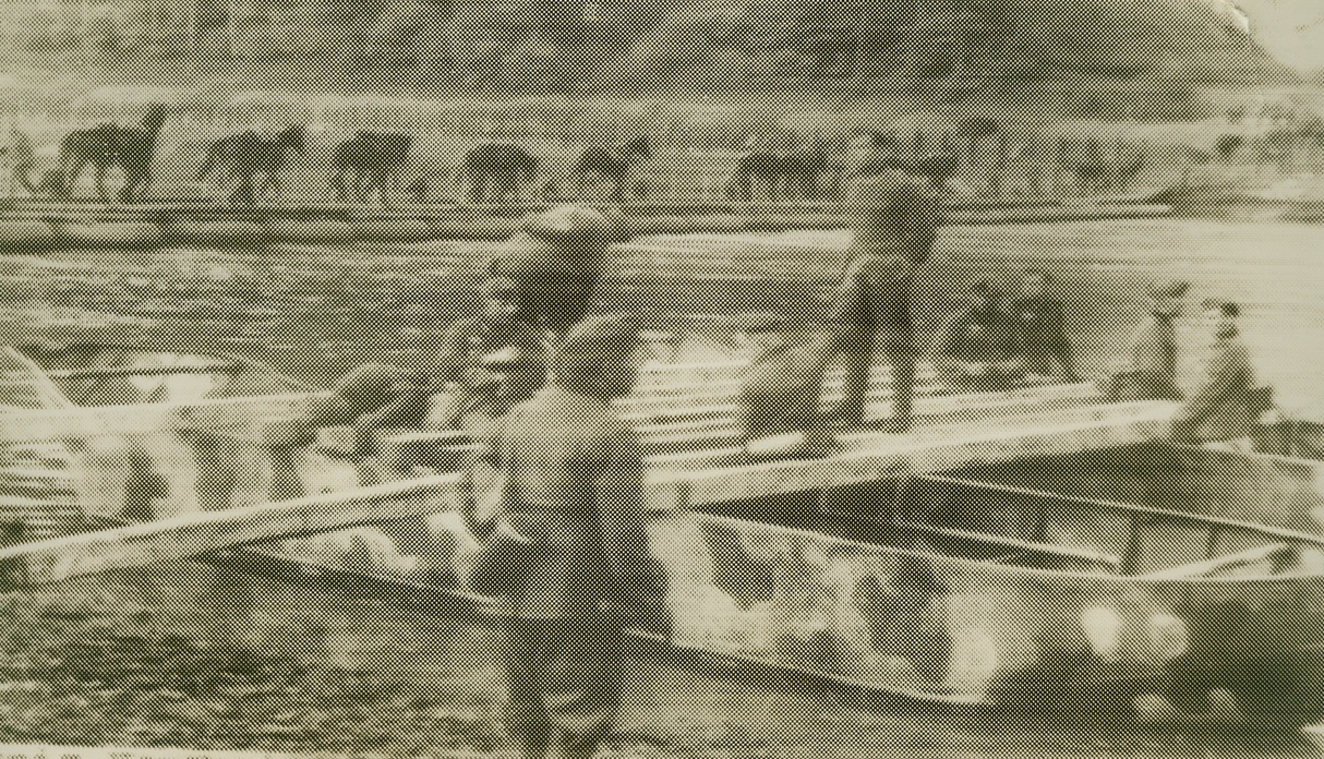 Bridges to aid the Invader, 5/12/1940  BERLIN – An engineering detachment of German Pioneer Corps throwing a pontoon bridge across an undisclosed river during the onslaught against Holland and Belgium. In the background may be seen a column of horses crossing another pontoon bridge. Horses strike an odd note among modern mechanized forces, but they can traverse muddy or flooded areas that halt tanks and tucks.Credit: (ACME);