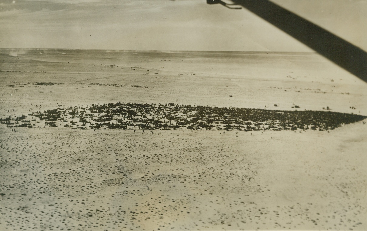 Mass Collection of Italian Prisoners, 2/8/41  BARDIA – This picture taken at Bardia by an Air Ministry official photographer, shows prisoners, prisoners, and more prisoners. This huge mass collected near the town of Bardia wait shipment to a camp.Credit: (ACME);
