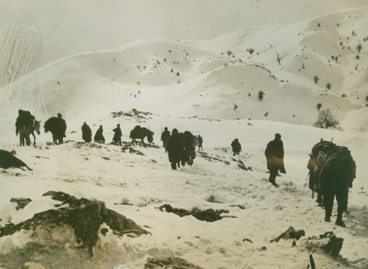 MOVING UP IN ALBANIA, 2/13/41  Greek troops, aided by pack mules, advance over the snow covered mountains of Albania toward the front lines. Credit: Acme;