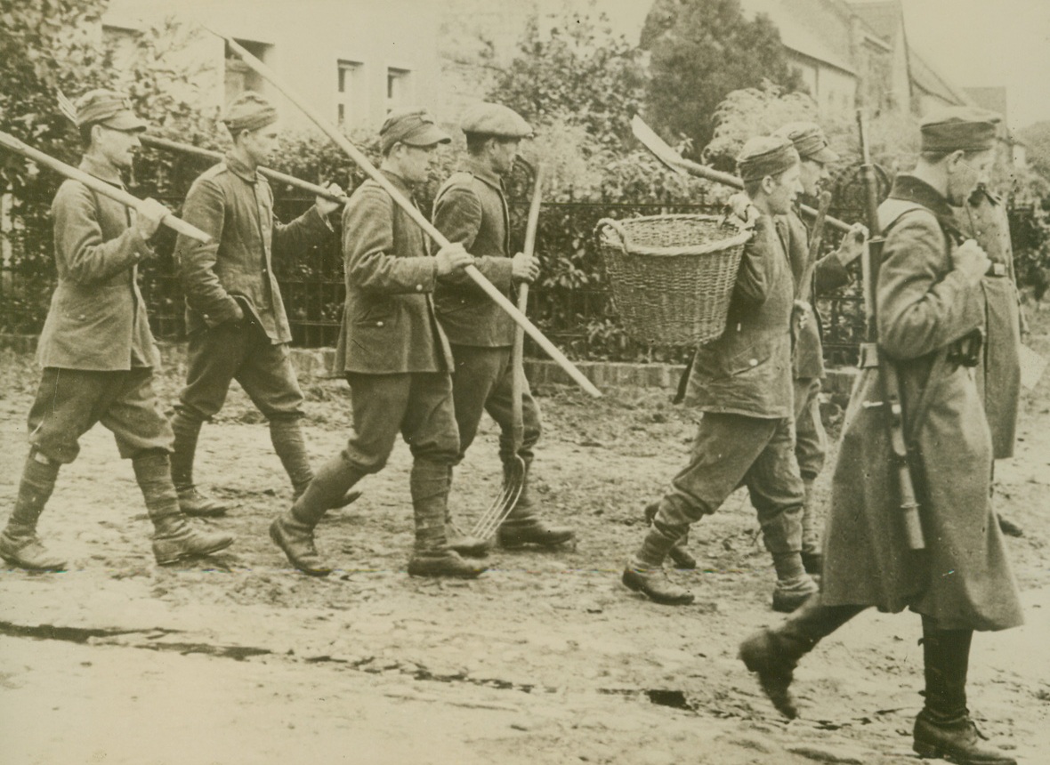 POLISH PRISONERS GO TO WORK, 10/24/1939. GERMANY—Under armed guard, Polish military prisoners are shown on their way to work. It is reported the prisoners are being forced to work the land by their German captors. Credit: Acme;