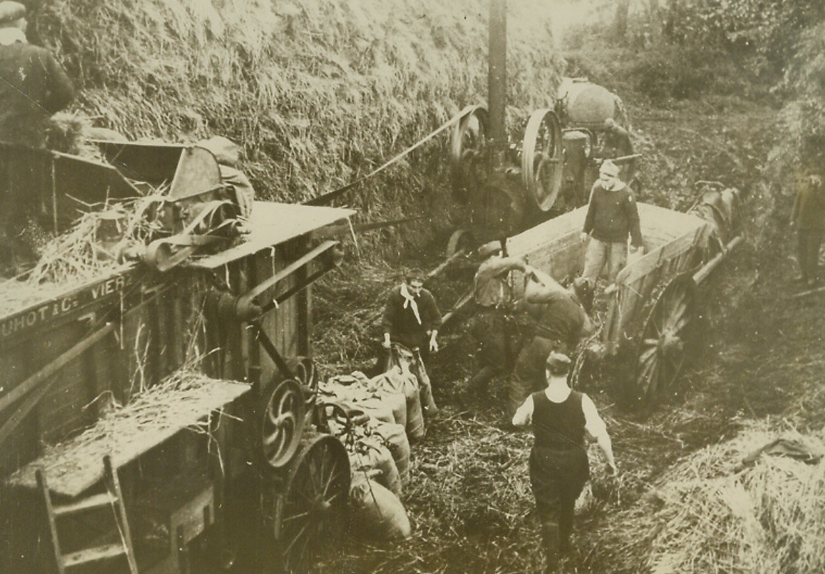 Soldiers Help With Threshing, 11/17/1939. France—Perhaps giving a hint of the lack of activity on the western front, these soldiers are helping with the threshing of wheat somewhere in France. Credit: ACME.;